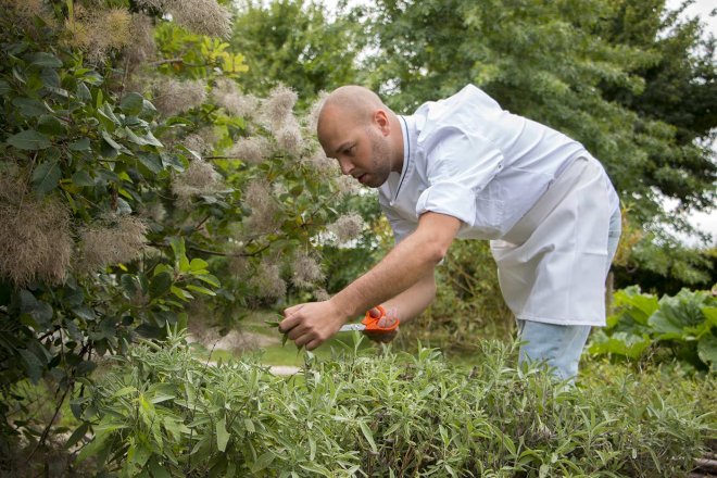 chef-cuisinier-ceuille-herbe-aromatique