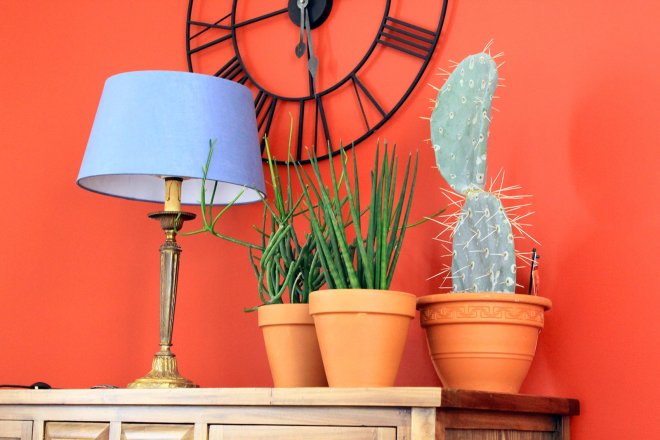 horloge-murale-lampe-abat-jour-tissu-bleu-ciel-pot-terre-cuite-plante-grasse-verte-cactus