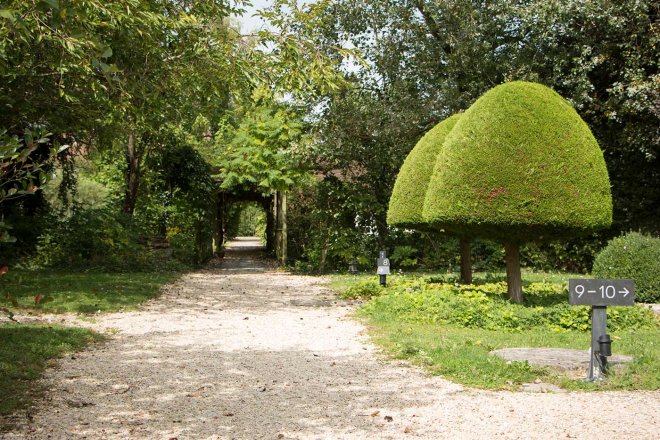 jardin-paysage-arbre-taille-verdure-nature-chemin-graviers