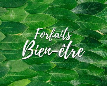 forfaits-bien-etre-departement-77-paris