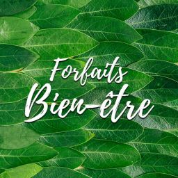 forfaits-bien-etre-departement-77-paris