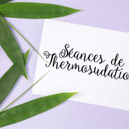 seances-thermosudation-proche-paris-centre-bien-etre-spa-77